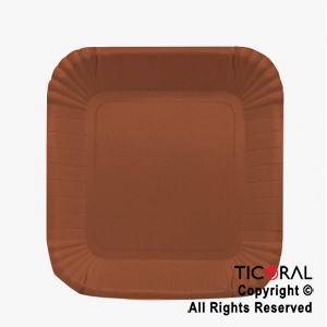 PLATO CHICO CUADRADO TERRACOTA x 8